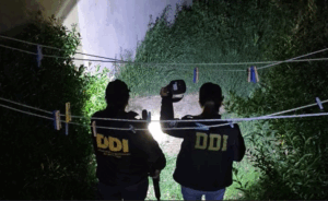 asesinato