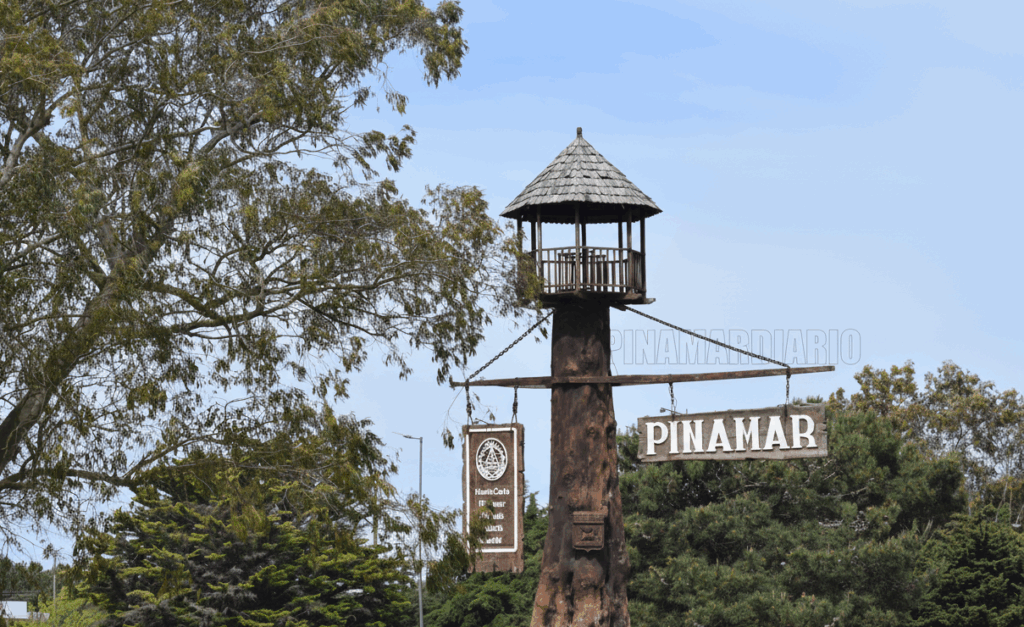 entrada pinamar